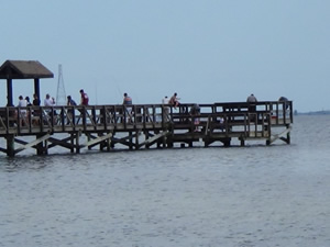 oldsmar fl fishing pier